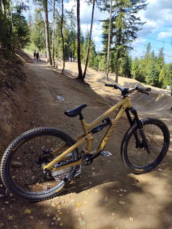 Canyon Torque 29 AL 6 2022 2022 MTB usato