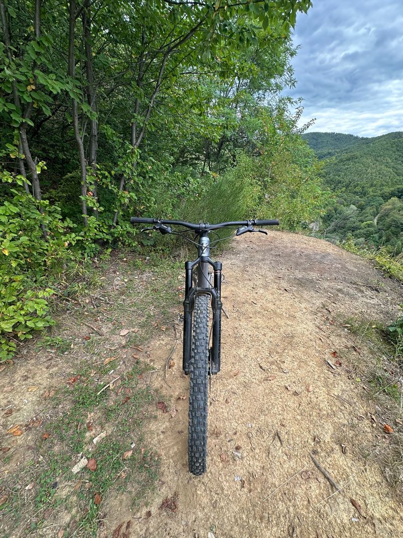 Used Scott Ransom 930 2023 2023 Mountainbike, Light Gray, 29 — image 4 of 11