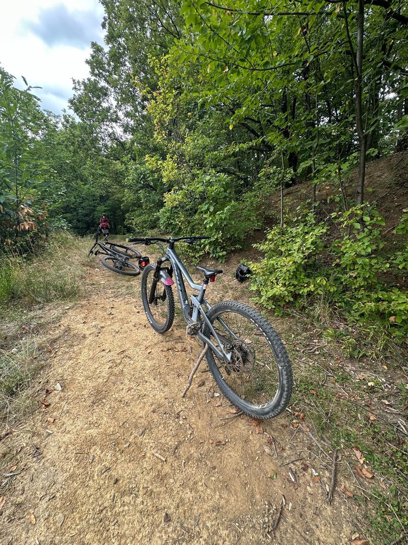 Used Scott Ransom 930 2023 2023 Mountainbike, Light Gray, 29 — image 6 of 11