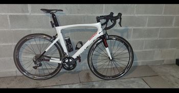 Ridley, Noah - Ultegra 2019