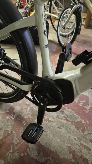 Used Specialized Turbo Vadoo 5.0 IGH 2023 Road & Gravel — image 4 of 15
