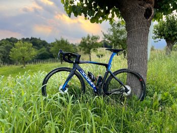 Used Pinarello Dogma Shimano Ultegra Di2 2021 Road & Gravel