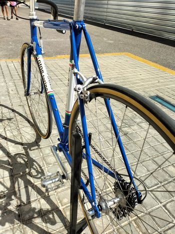 Used Gios Super Record 1979 Road & Gravel, Blue — image 9 of 11