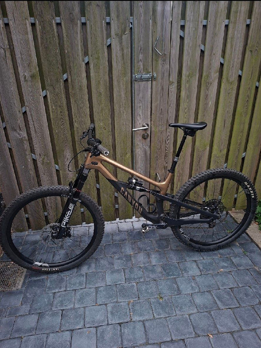 Canyon Spectral 125 CF LTD 2024 2024