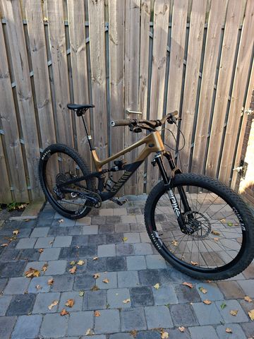 Gebrauchtes Canyon Spectral 125 CF LTD 2024 2024 Mountainbike, Schwarz, 29 — Bild 9 von 9
