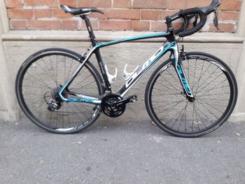 Olmo, Nemesi