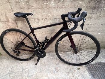Used Canyon Endurace Shimano 105 2020 Road & Gravel — image 1 of 7
