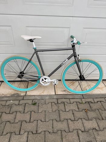 Cinelli, Tipo Pista Track 2019