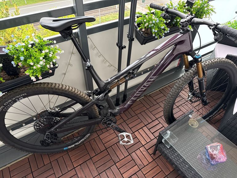 Canyon Neuron CF LTD 2025