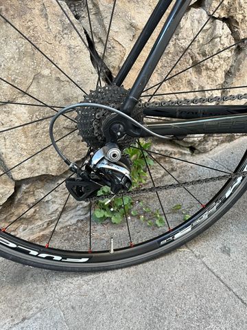 Used Colnago C59 2014 Road & Gravel, Black — image 3 of 15
