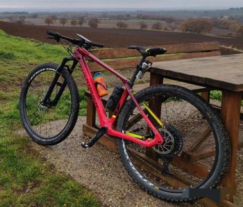 Used ROCKRIDER 29" Carbon Mountain Bike XC 900 2022 2022 Mountainbike, Red, 29 — image 2 of 3