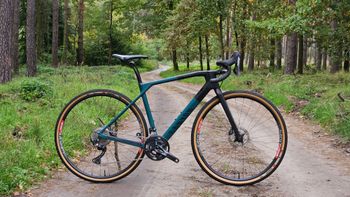 Canyon, Grail CF SL 8 2023