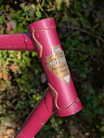 Used Mercier Rose 1977 Road & Gravel, Purple — image 7 of 15
