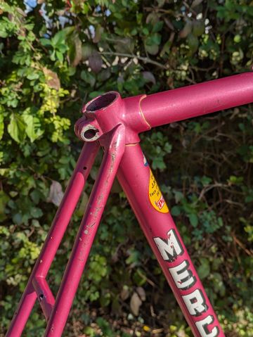 Used Mercier Rose 1977 Road & Gravel, Purple — image 6 of 15