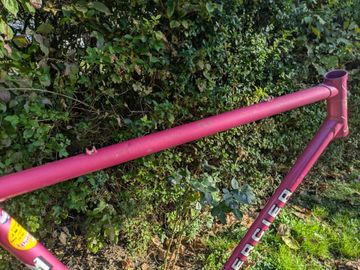 Used Mercier Rose 1977 Road & Gravel, Purple — image 4 of 15