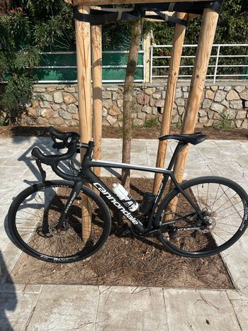 Cannondale, Connondiale Synapse Ultega