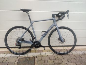 Canyon, Endurace CF 7 AXS 2024