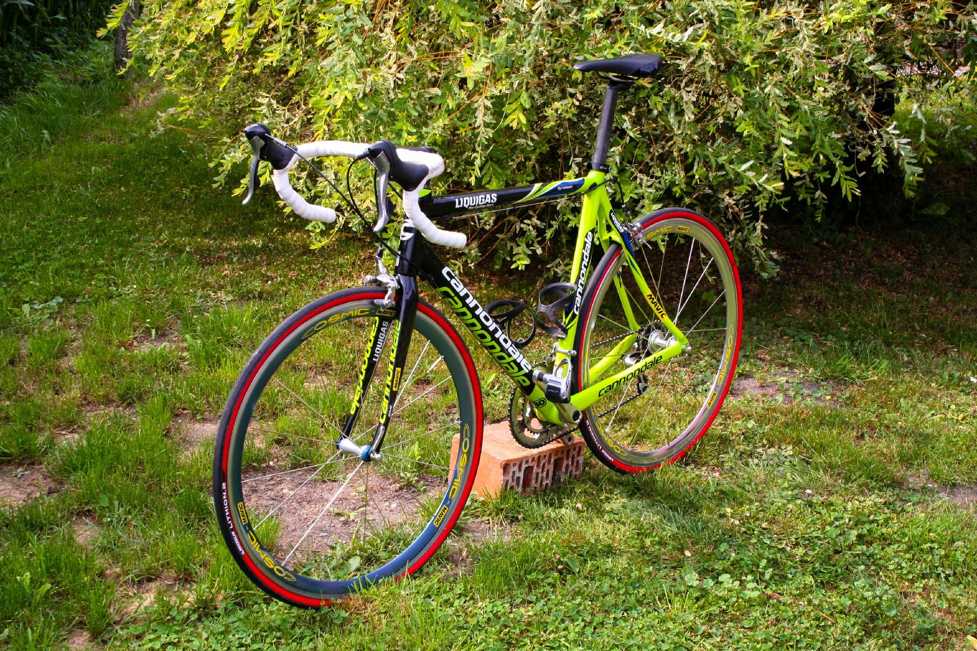 Cannondale Liquigas 2008