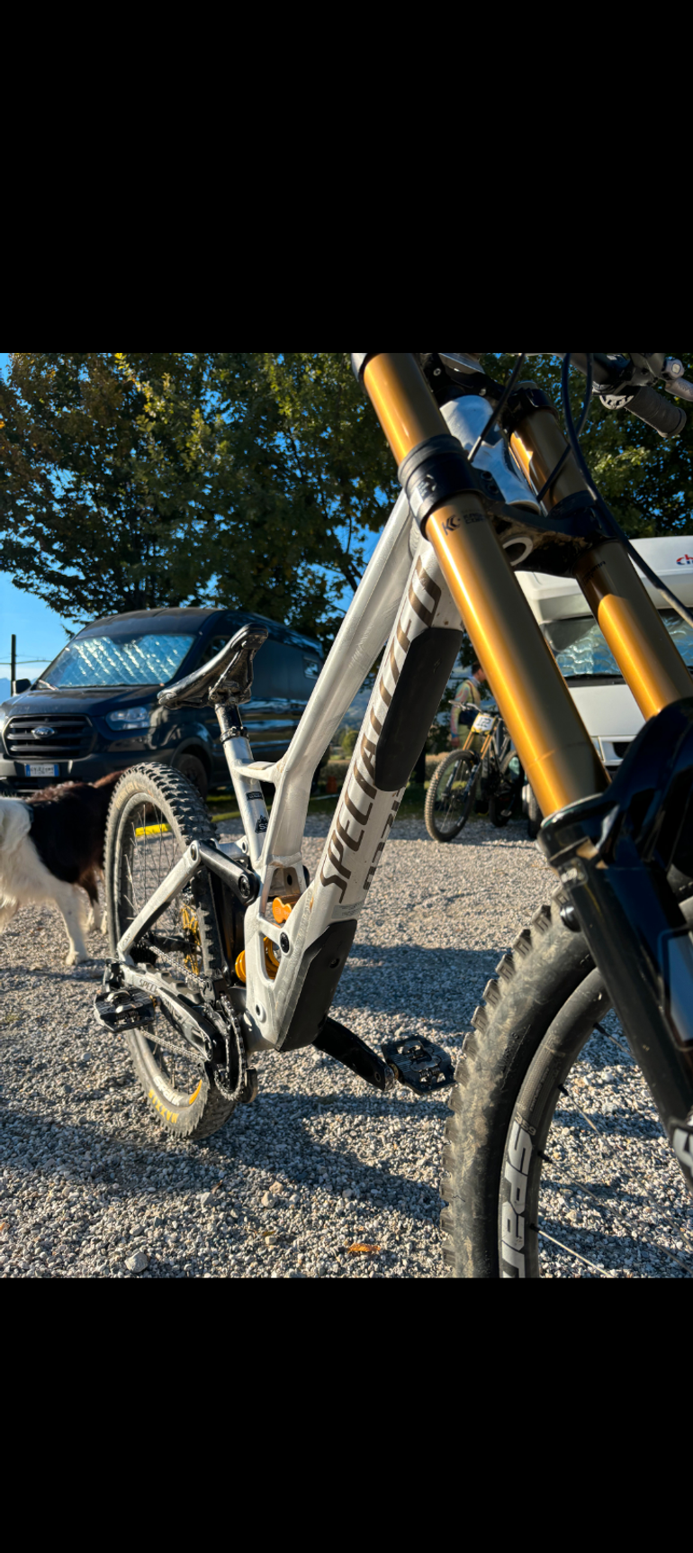 Brugt Specialized Demo SRAM GX DH 2025 Mountainbike — billede 2 af 5