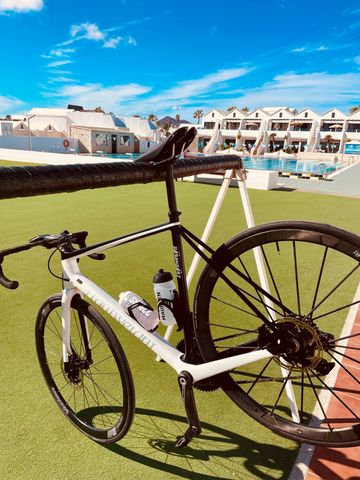Used Lightweight Urgestalt 2019 Road & Gravel, White — image 2 of 7