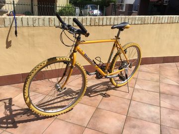 Used Bianchi REX 2010 MTB