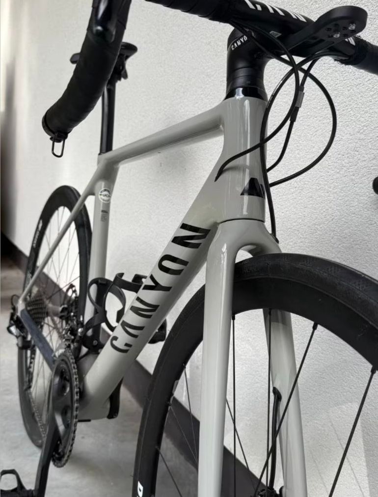 Canyon Endurace CF SL Disc 2022 2022