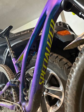 Used Specialized Men's Stumpjumper Comp Carbon 29 - 12-speed 2020 2020 Mountainbike, Purple, 29 — image 3 of 7