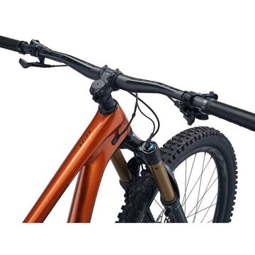 Brugt Giant Reign Advanced Pro 29 1 2022 2022 Mountainbike — billede 2 af 6