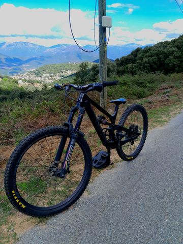 Used Canyon Torque 29 CF 7 2023 2023 Mountainbike, Black, 29 — image 1 of 7