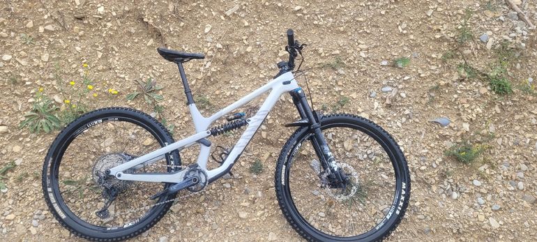 Canyon Spectral Mullet CF 8 CLLCTV 2023