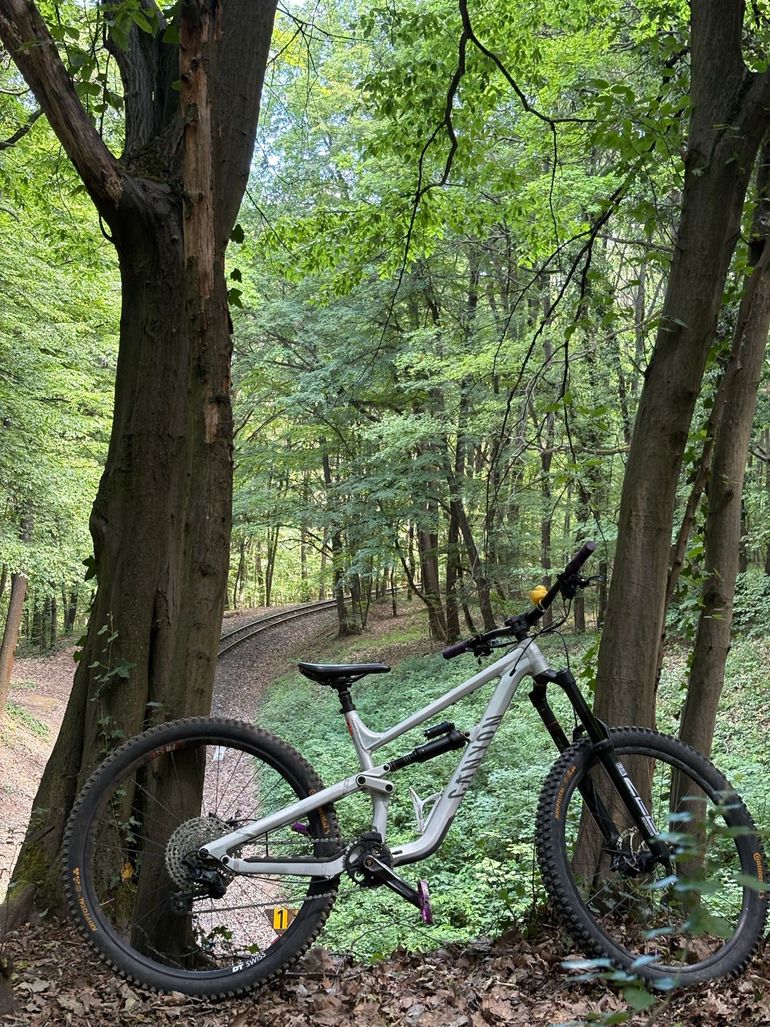 Gebrauchtes Canyon Torque 29 AL 5 2024 2024 Mountainbike, Hellgrau, 29 — Bild 7 von 11