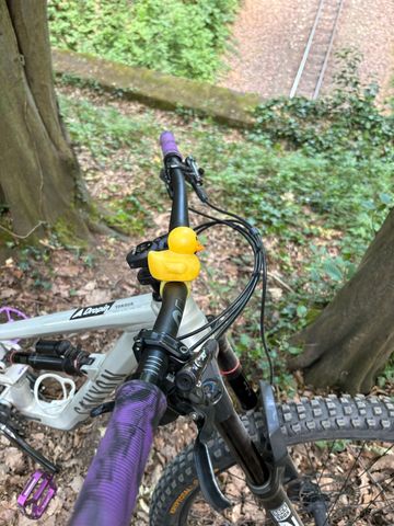Gebrauchtes Canyon Torque 29 AL 5 2024 2024 Mountainbike, Hellgrau, 29 — Bild 9 von 11