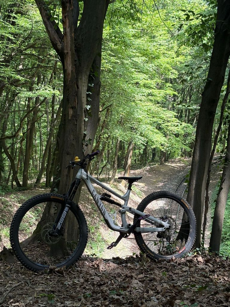 Gebrauchtes Canyon Torque 29 AL 5 2024 2024 Mountainbike, Hellgrau, 29 — Bild 5 von 11