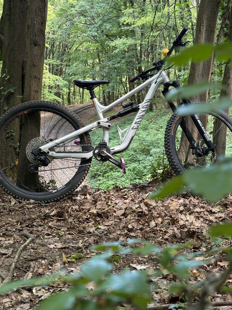Gebrauchtes Canyon Torque 29 AL 5 2024 2024 Mountainbike, Hellgrau, 29 — Bild 8 von 11