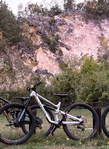 Canyon Torque 29 AL 5 2024 2024 Mountainbike usato, Grigio chiaro — immagine 4 di 4