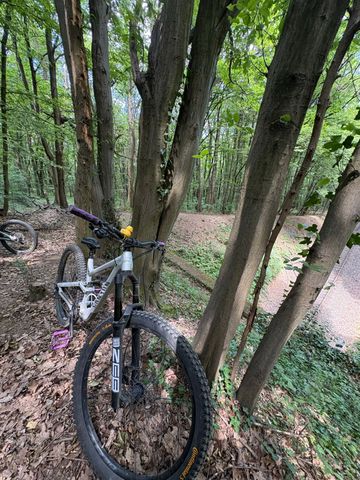 Gebrauchtes Canyon Torque 29 AL 5 2024 2024 Mountainbike, Hellgrau, 29 — Bild 11 von 11
