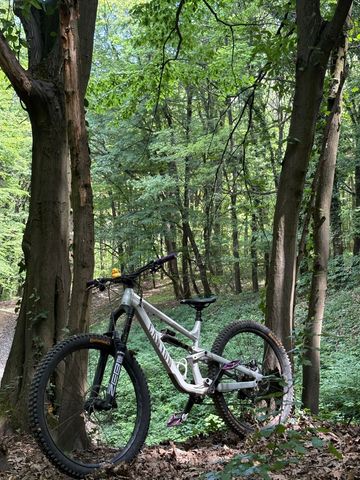 Gebrauchtes Canyon Torque 29 AL 5 2024 2024 Mountainbike, Hellgrau, 29 — Bild 6 von 11