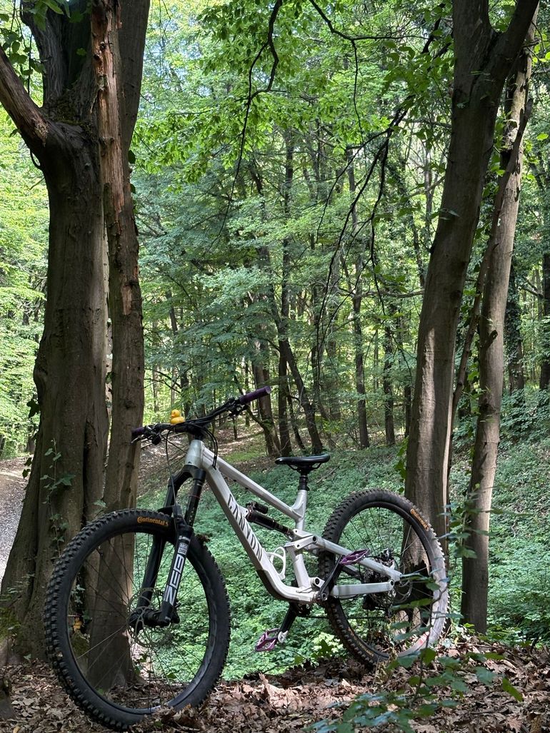 Gebrauchtes Canyon Torque 29 AL 5 2024 2024 Mountainbike, Hellgrau, 29 — Bild 6 von 11