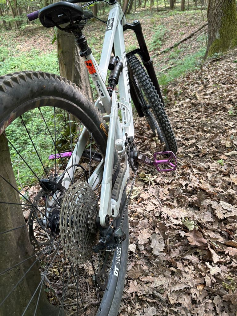 Gebrauchtes Canyon Torque 29 AL 5 2024 2024 Mountainbike, Hellgrau, 29 — Bild 10 von 11