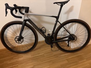 Used Megamo RAISE 15 SH12 2024 2024 Road & Gravel