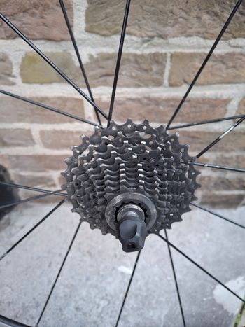 Used Basso Laguna 2014 Road & Gravel, Black — image 17 of 18