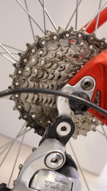 Brugt Koga Sportlady 2002 Road & Gravel — billede 20 af 28