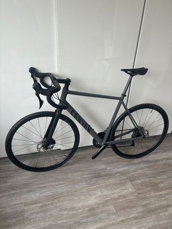 Used Canyon Endurace 7 RAW 2024 2024 Road & Gravel, Light Gray — image 2 of 13