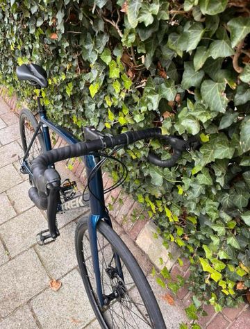 Used Trek Domane AL 2 Disc 2022 2022 Road & Gravel, Blue — image 3 of 5