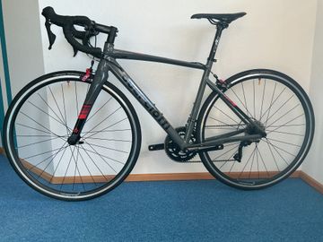 Brugt Guerciotti San Siro 105 2025 Road & Gravel — billede 5 af 7