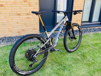 Used Pivot TRAIL 429 Pro X01 2023 2023 Mountainbike, Light Gray, 29 — image 3 of 13