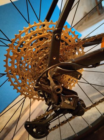 Used Carver Strict 150 2023 Mountainbike, Black — image 5 of 12