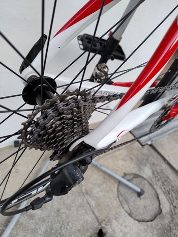 Used Pinarello Fp3 2011 2011 Road & Gravel, White — image 7 of 7