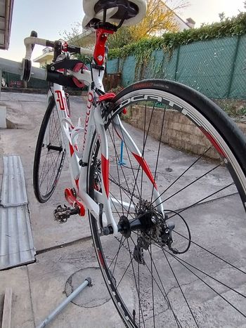 Used Pinarello Fp3 2011 2011 Road & Gravel, White — image 2 of 7