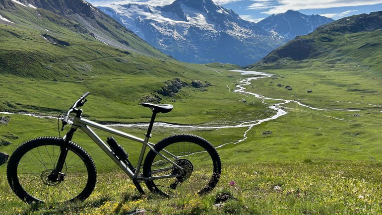 Used Specialized Rockhopper SRAM SX Eagle 2021 Mountainbike, Light Gray — image 2 of 6